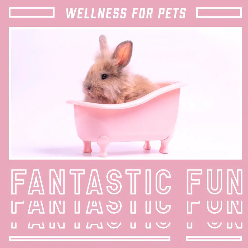 Peaceful Music (Guitar)