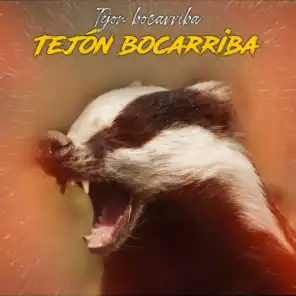 Tejón Bocarriba