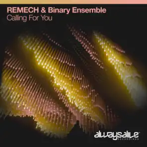 REMECH & Binary Ensemble