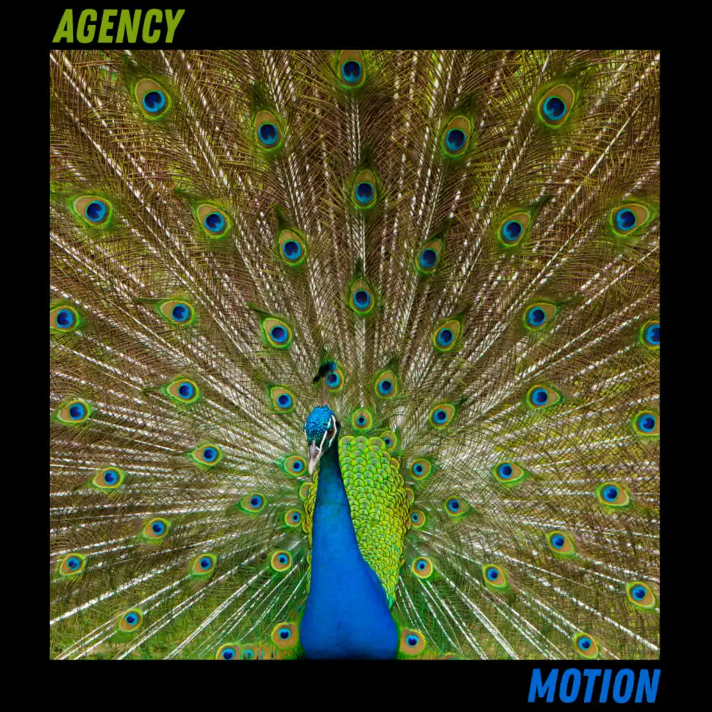 Motion (Knox Jazz House Remix)
