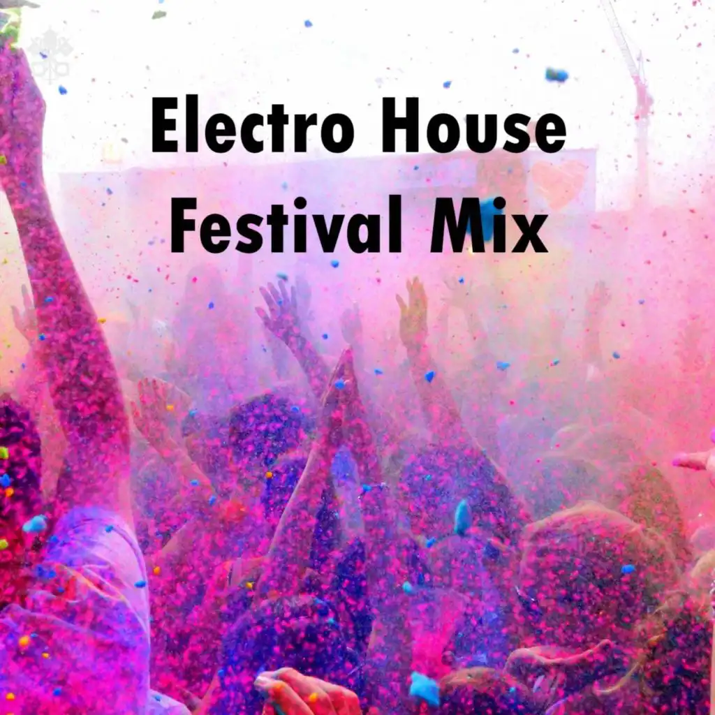 Electro House Festival Mix