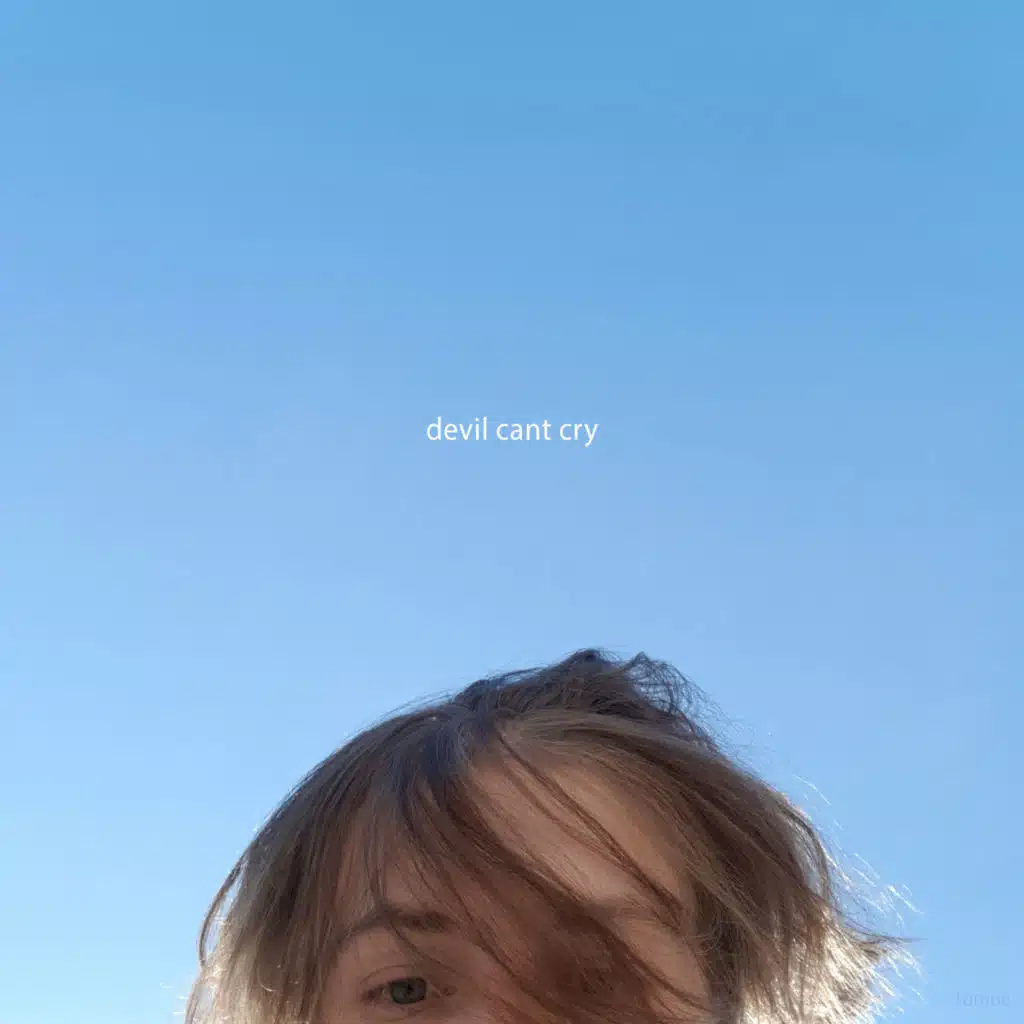 Devil Cant Cry