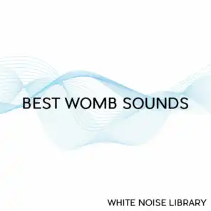 Womb Sound 3 - Loopable With No Fade