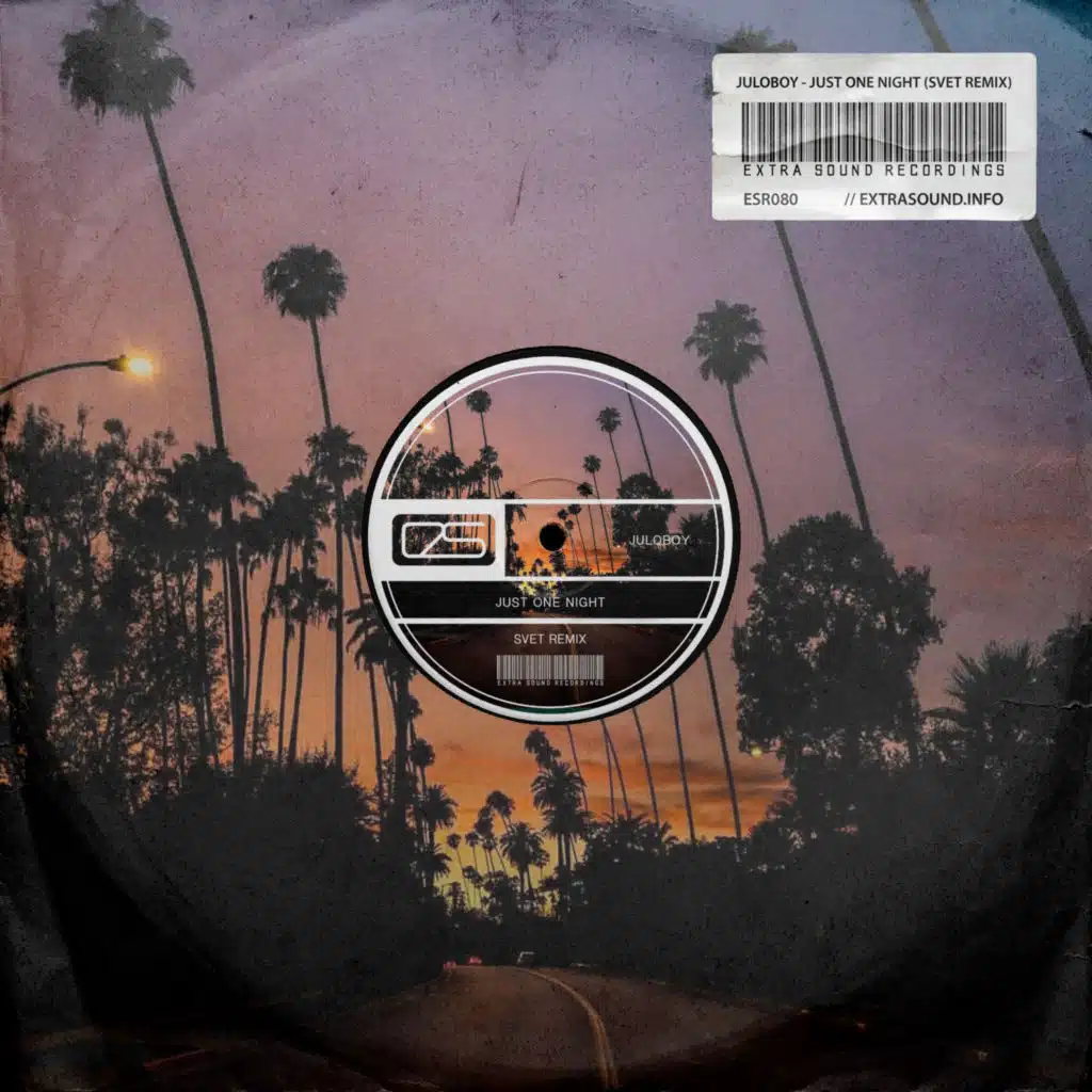 Just One Night (Svet Remix Radio Version)