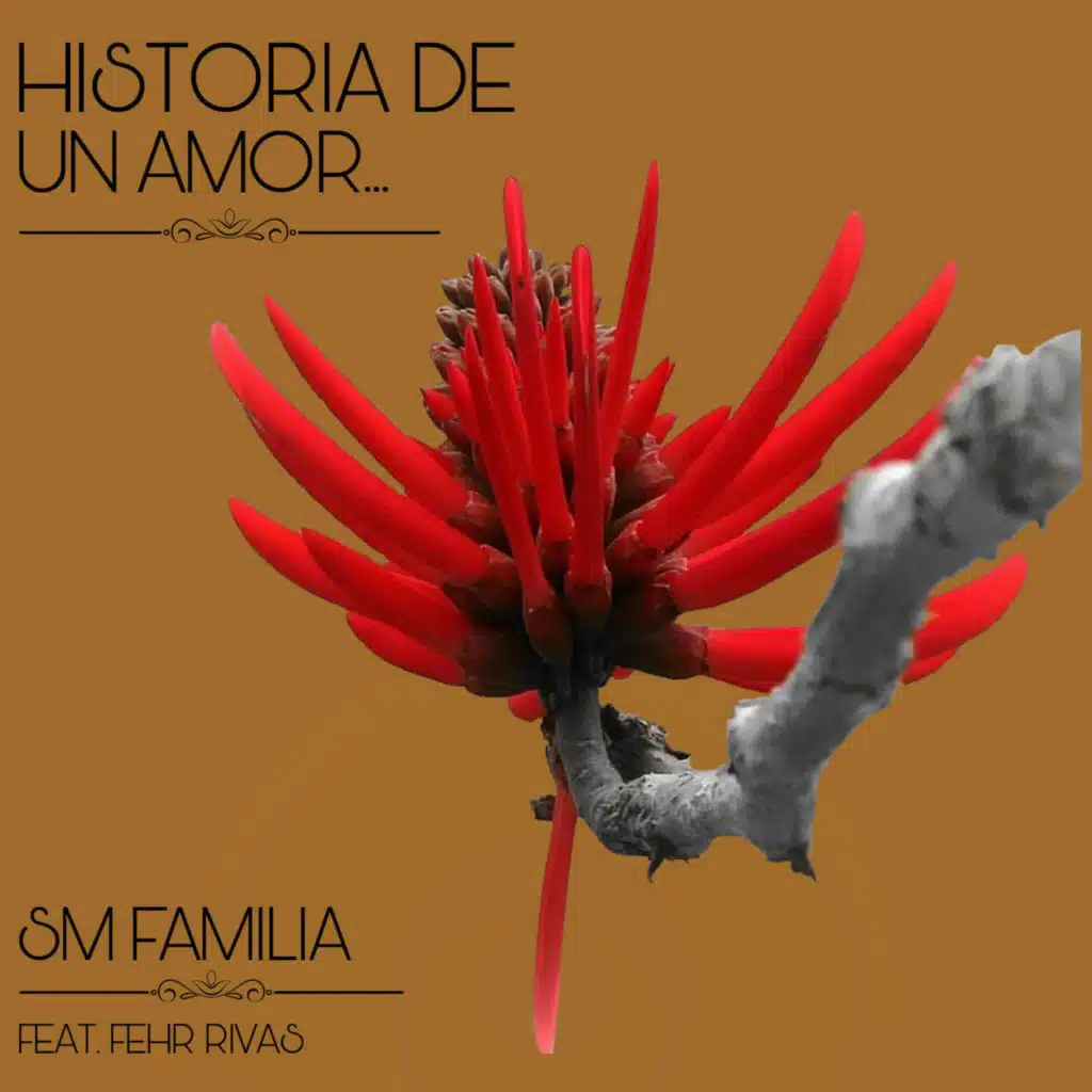 Historia De Un Amor