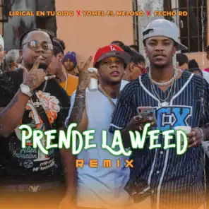 Prende La Weed (feat. Yomel El Meloso & El Fecho Rd)