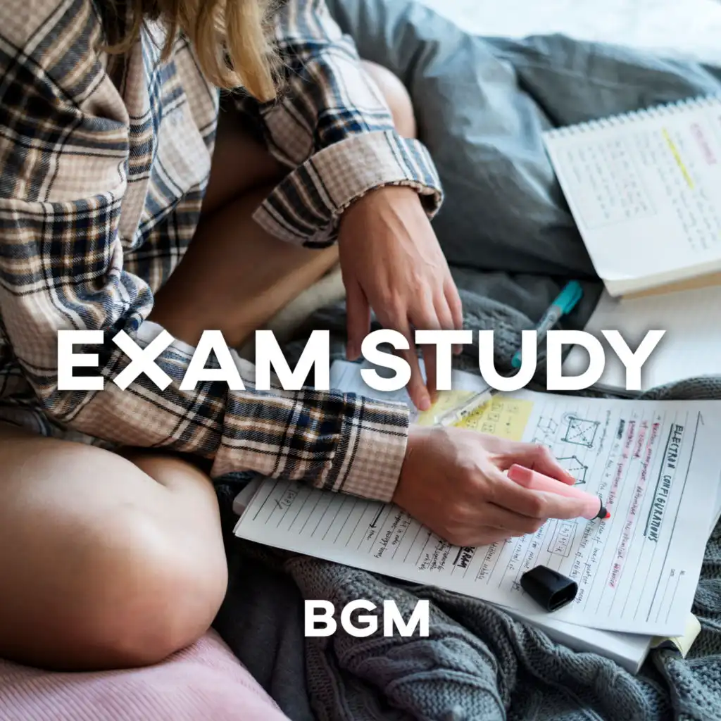 Exam Study BGM – New Age Music Collection That Improve Concentration