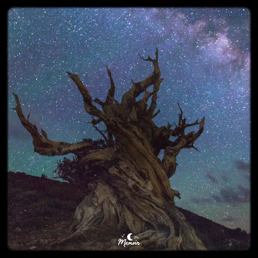 Charmy (Makzo Remix)