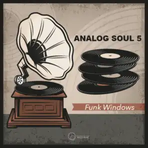Analog Soul 5