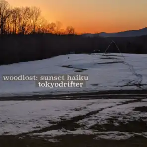 woodlost: sunset haiku