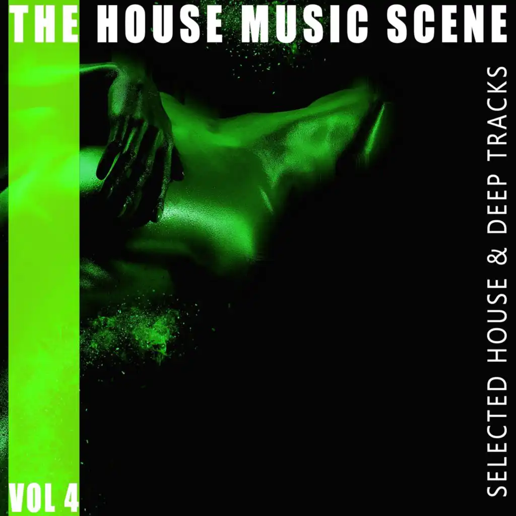 The House Music Scene, Vol. 4