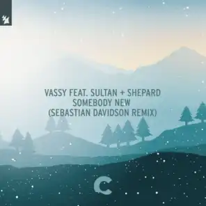 Somebody New (Sebastian Davidson Remix) [feat. Sultan + Shepard]