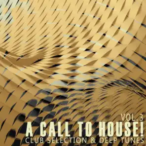 A Call to House!, Vol. 3