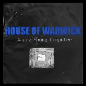 ANGRY YOUNG COMPUTER