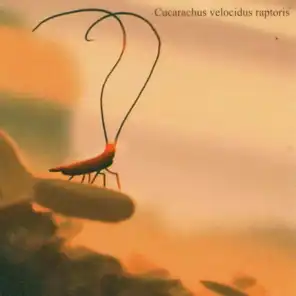 Relatos de una cucaracha