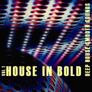 House in Bold, Vol. 1