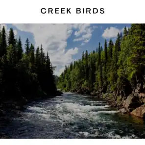 Creek Birds