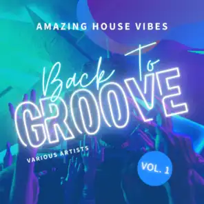 Back To Groove (Amazing House Vibes), Vol. 1