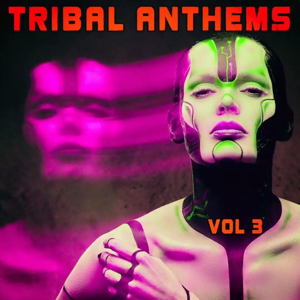 Tribal Anthems, Vol. 3