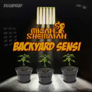 Backyard Sensi (Dub Mix)
