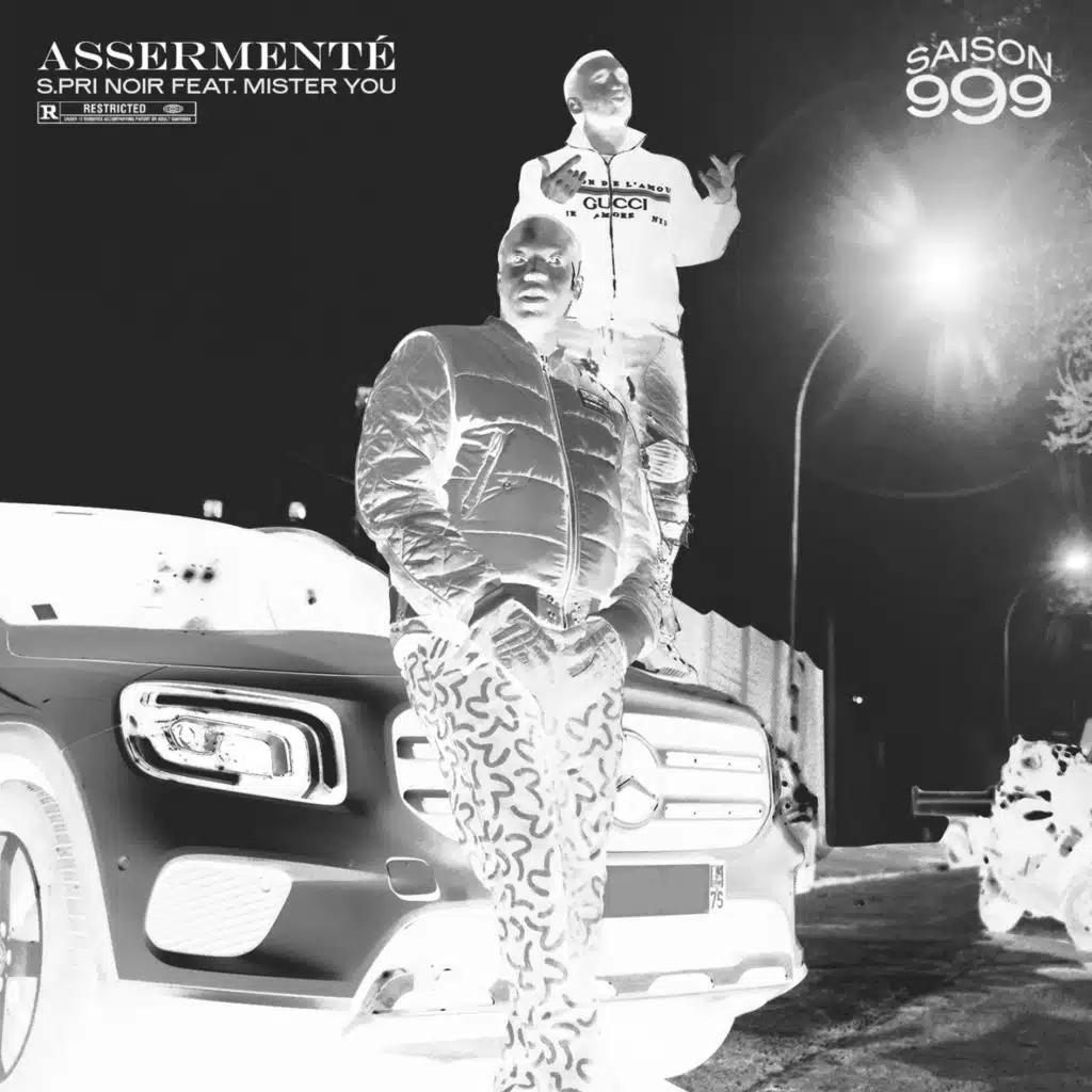Assermenté (Saison 999) [feat. Mister You]