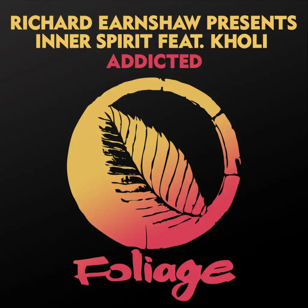 Addicted (Instrumental Mix)