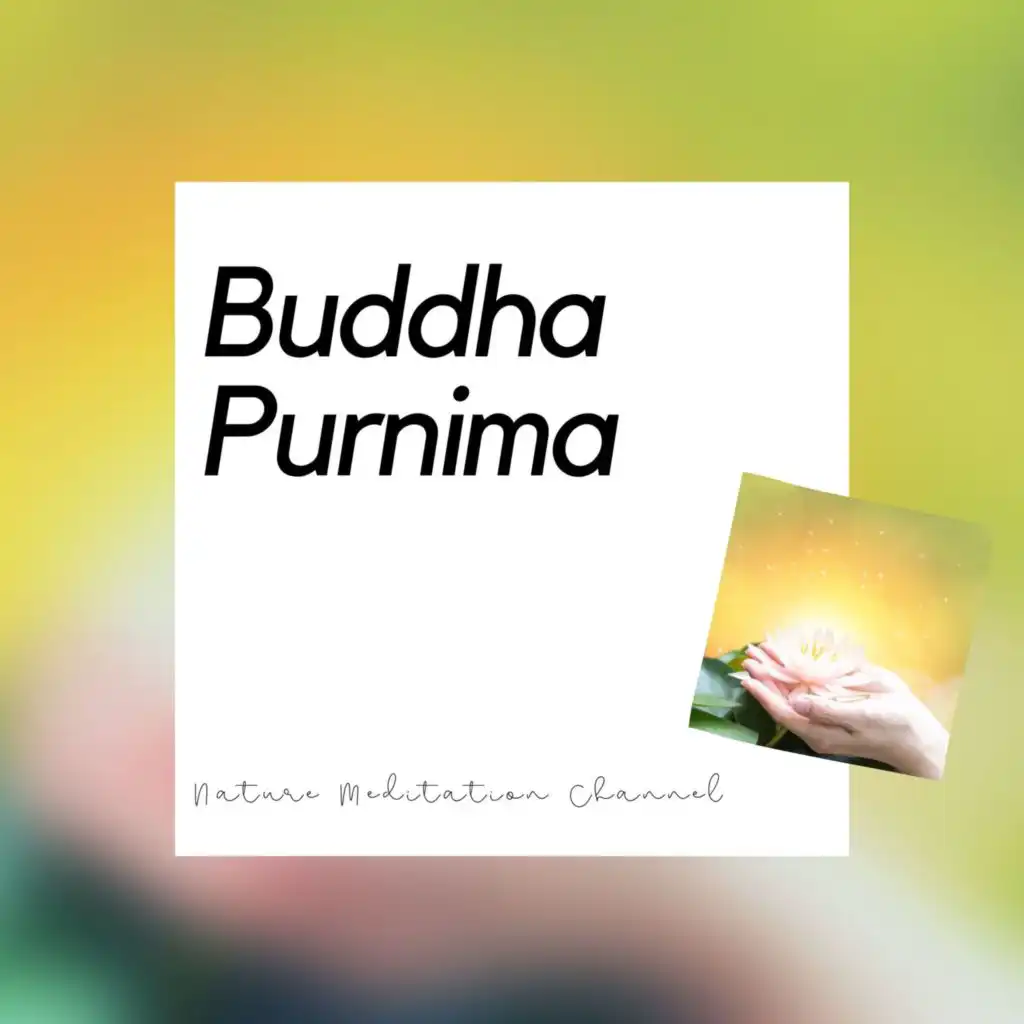 Buddha Purnima Celebration - Meditate