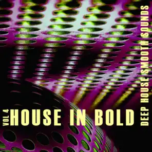 House in Bold, Vol. 4