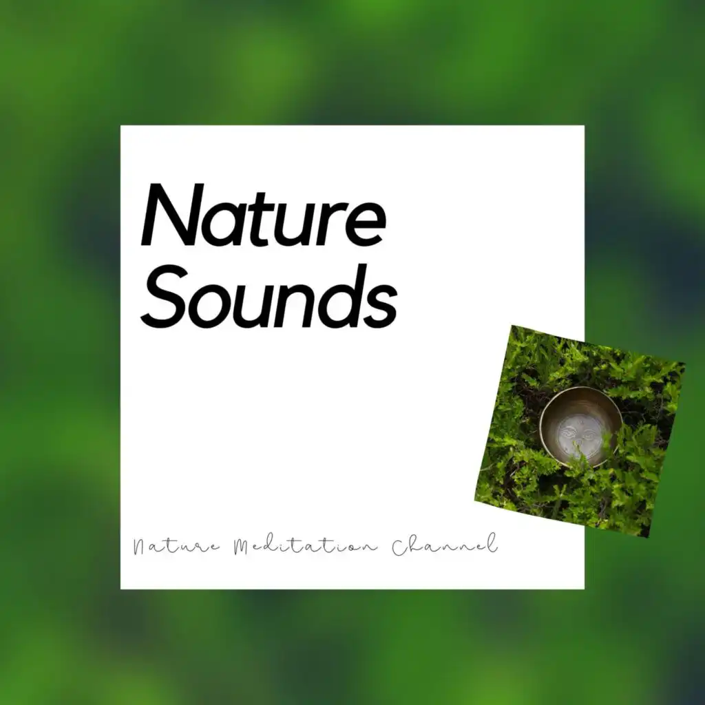 Nature Sounds Oasis for Meditation