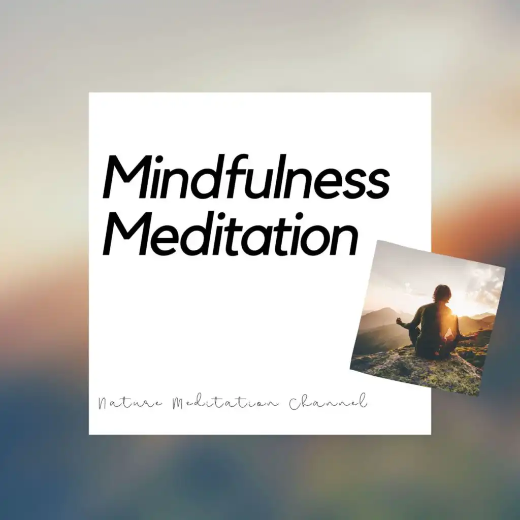 Mindfulness Meditation - Brain Stimulation