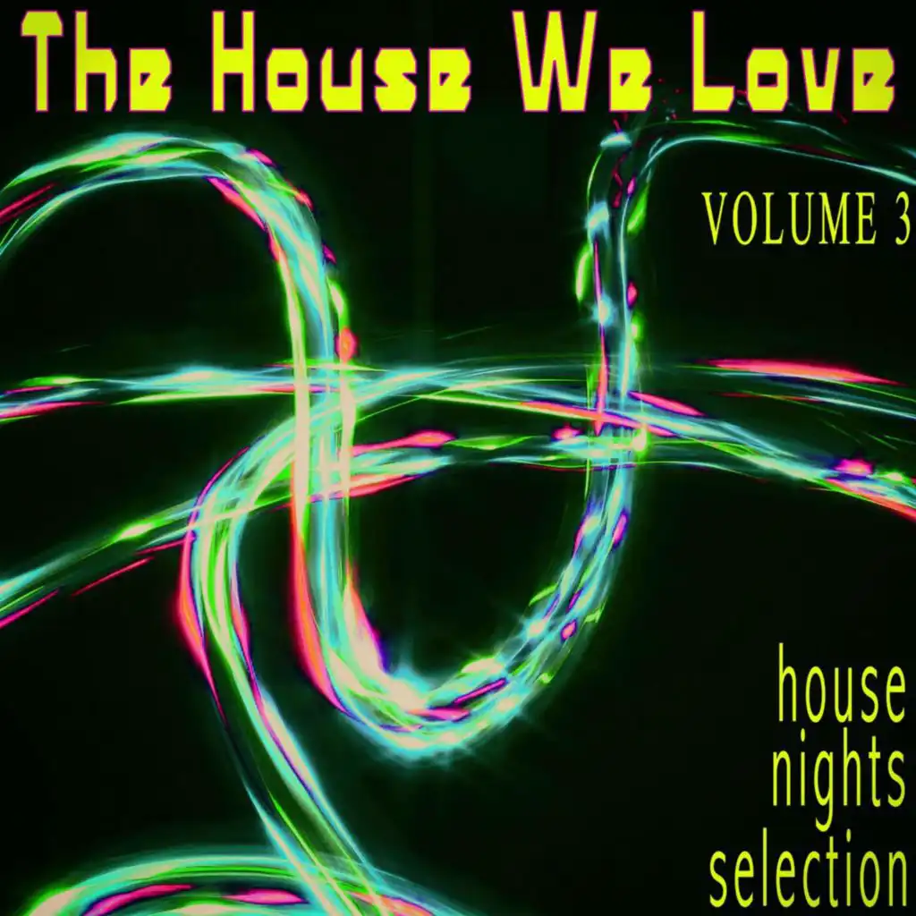 The House We Love, Volume 3 - House Nights Selection
