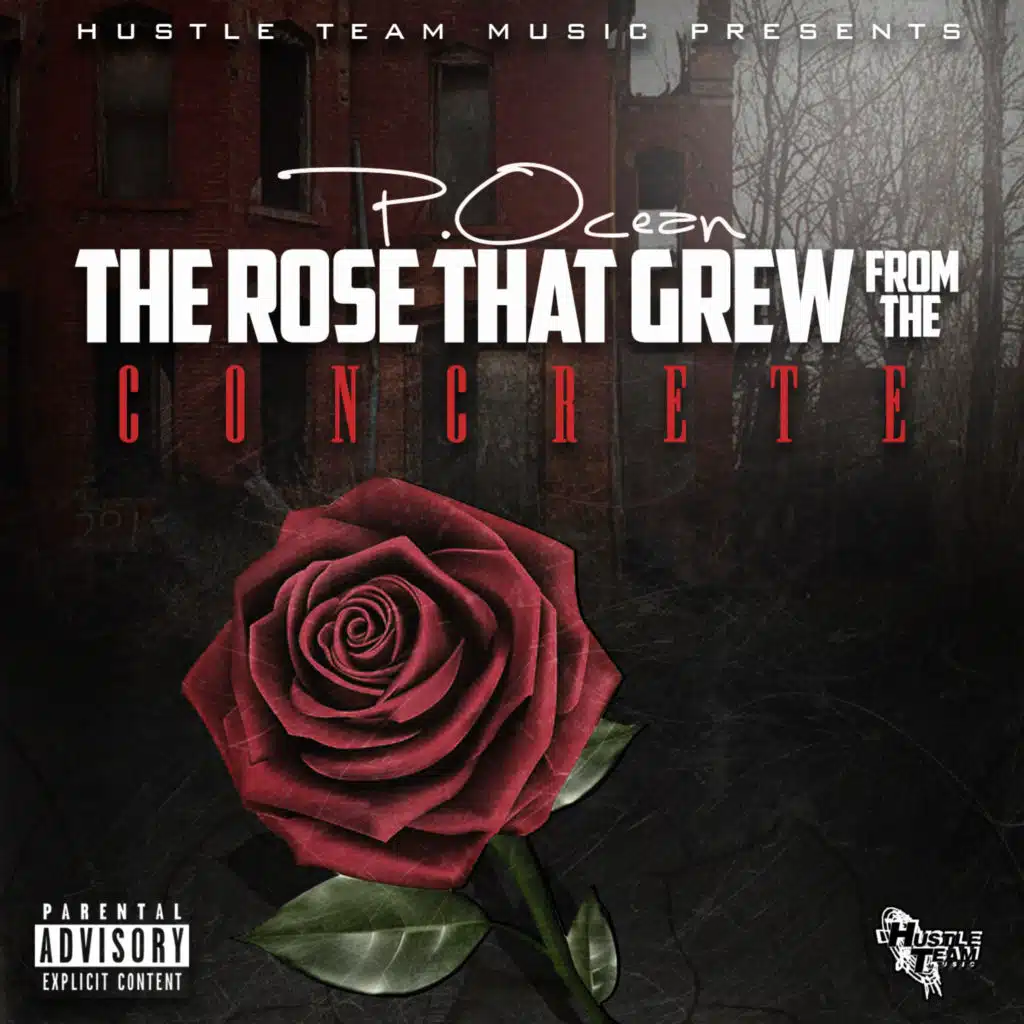 The Rose That Grew from the Concrete