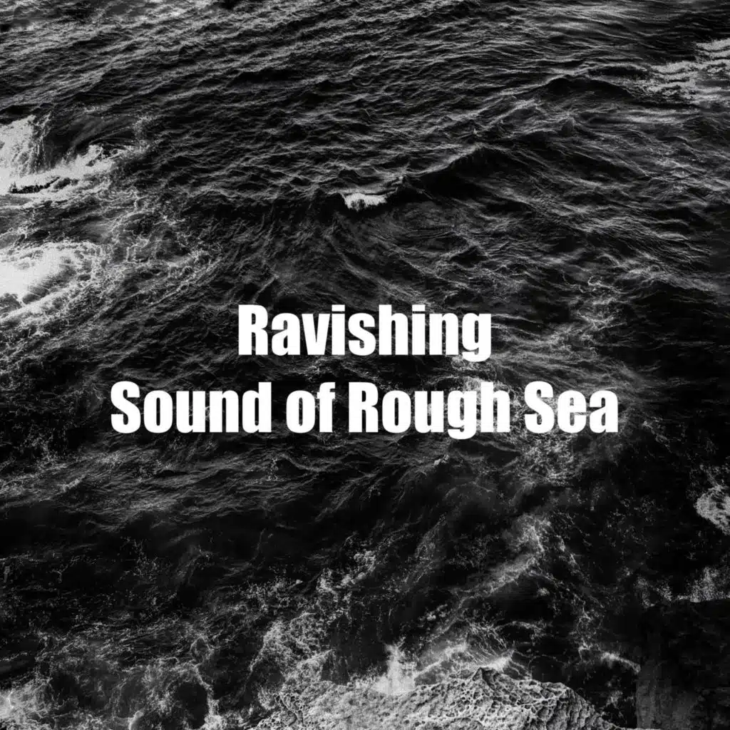 Cosy Embrace of Sea Storm