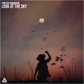 Look at the Sky