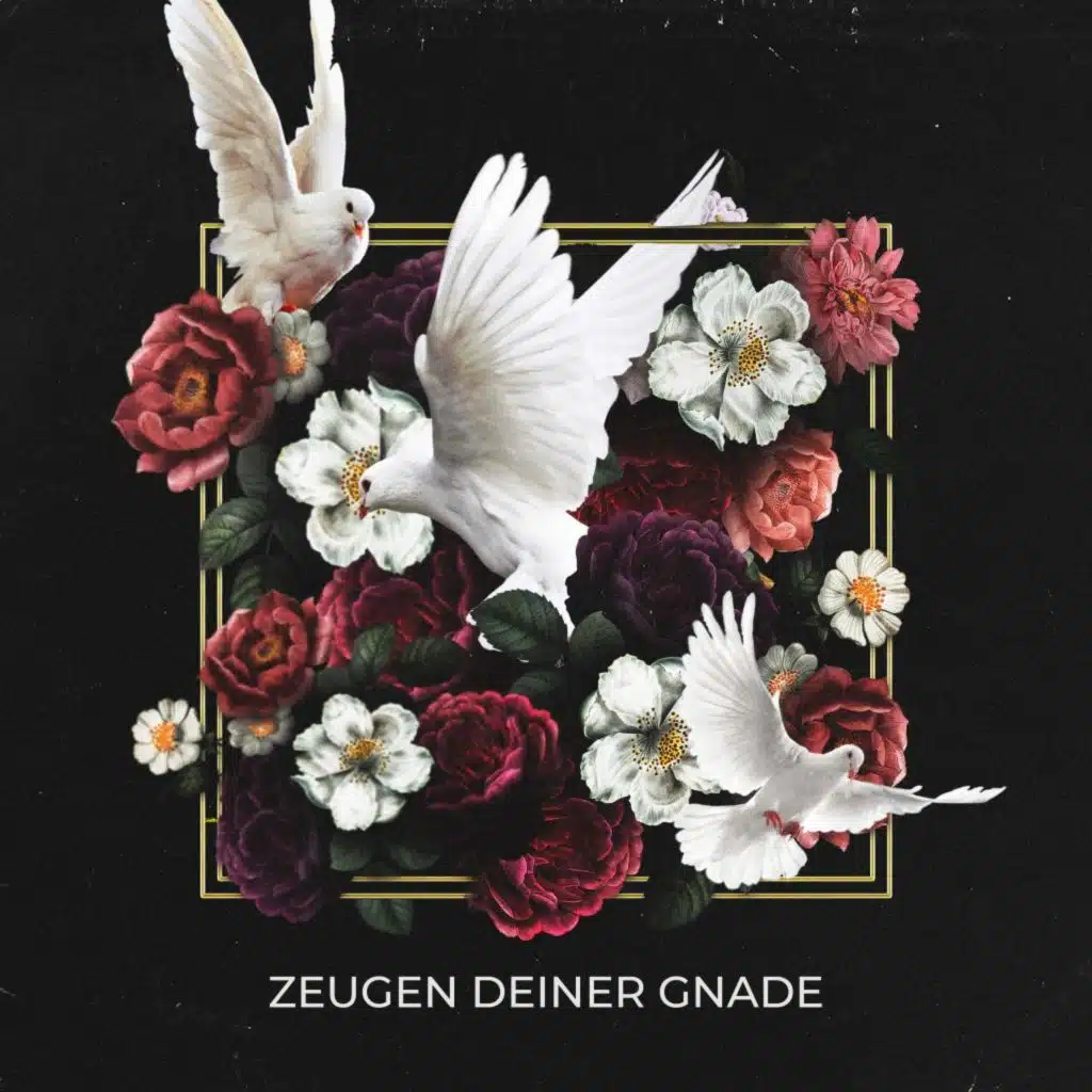 Zeugen deiner Gnade