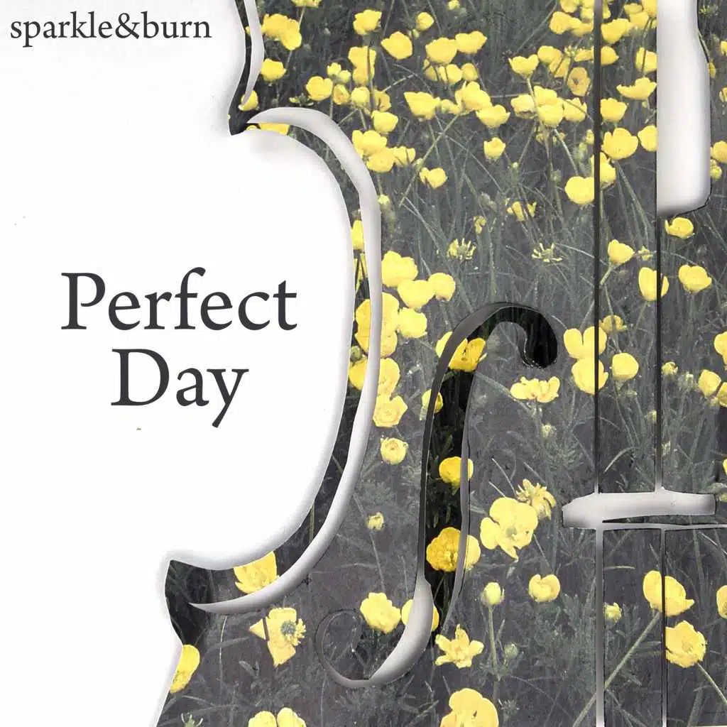 Perfect Day