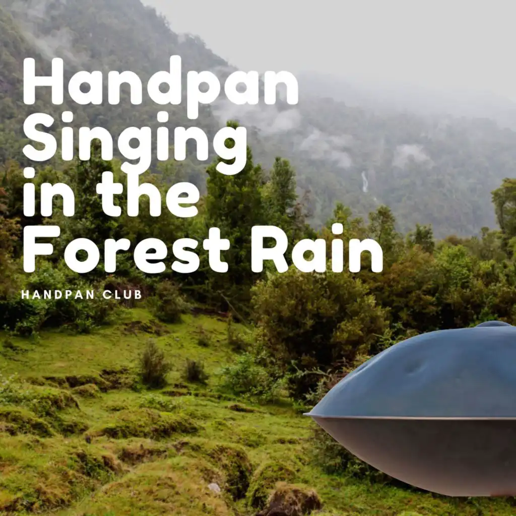 Handpan Singing in the Forest Rain