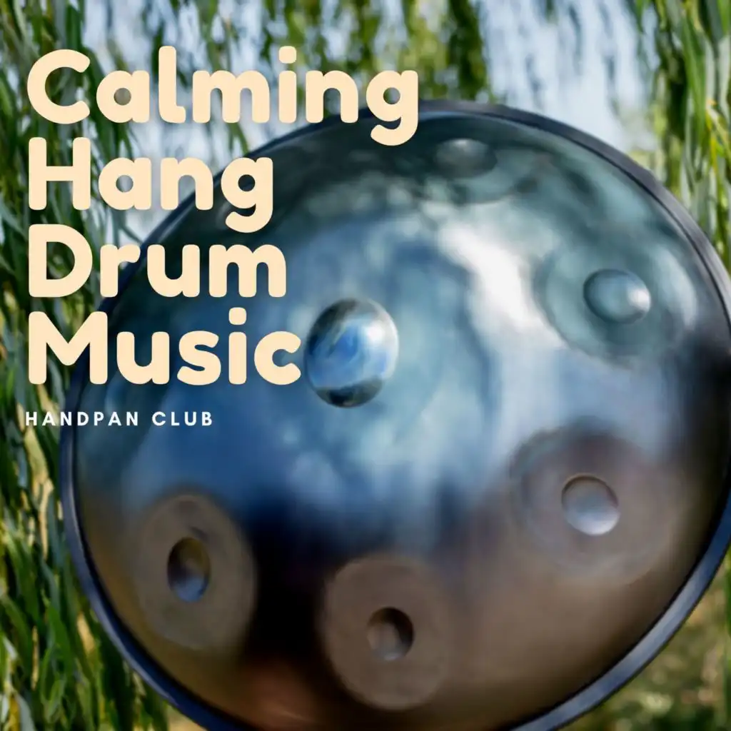 Dhyana (Hang Drums)