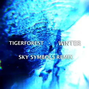 Winter (Sky Symbols Remix)