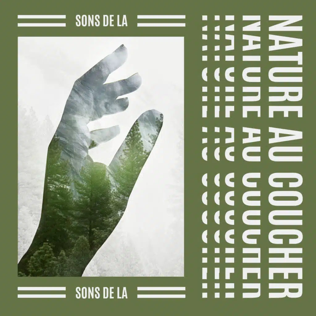 Projet de musique de sommeil