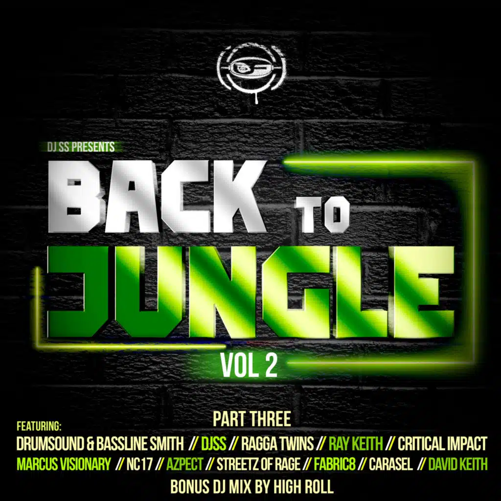 Back to Jungle, Vol. 2 (Pt. 3) (Continuous DJ Mix)