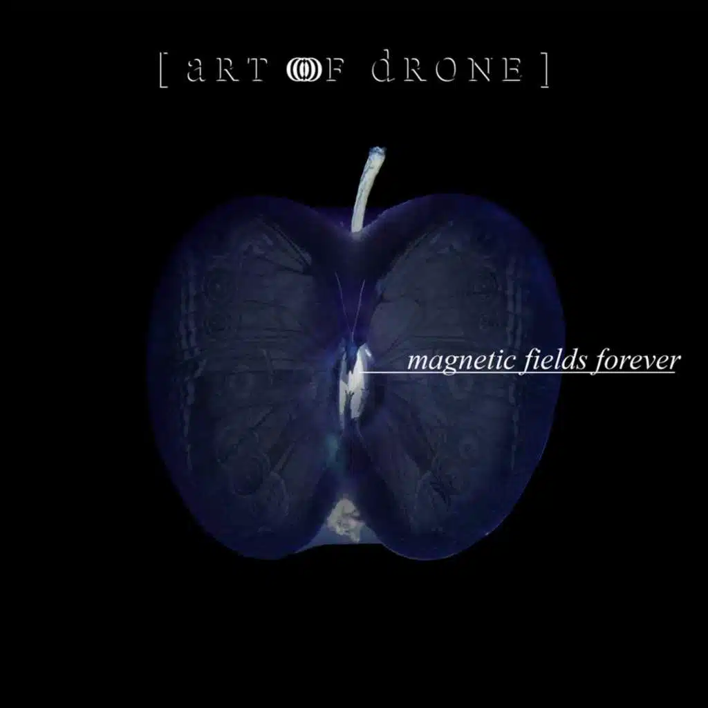 Magnetic Fields Forever