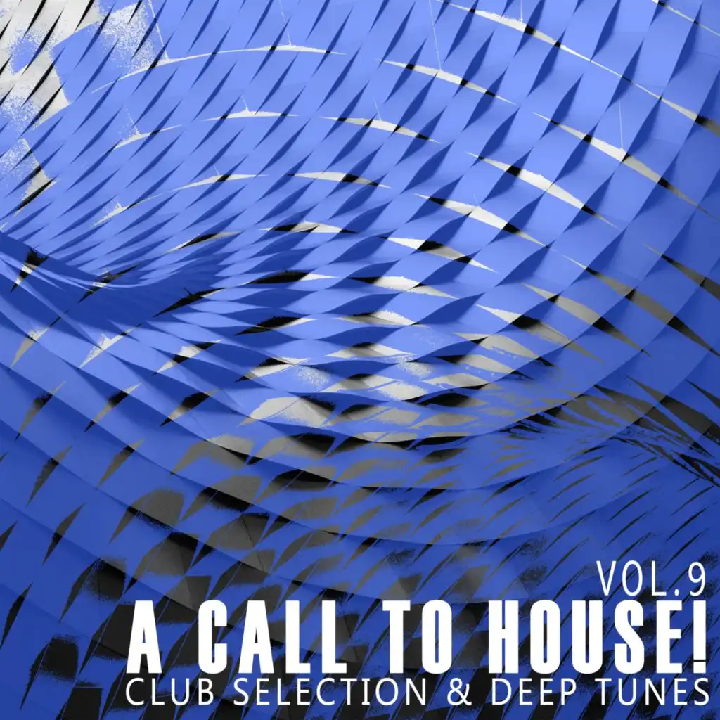 A Call to House!, Vol. 9