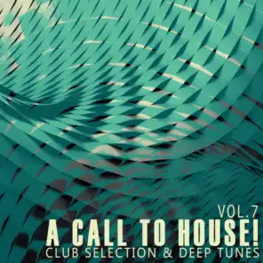 A Call to House!, Vol. 7