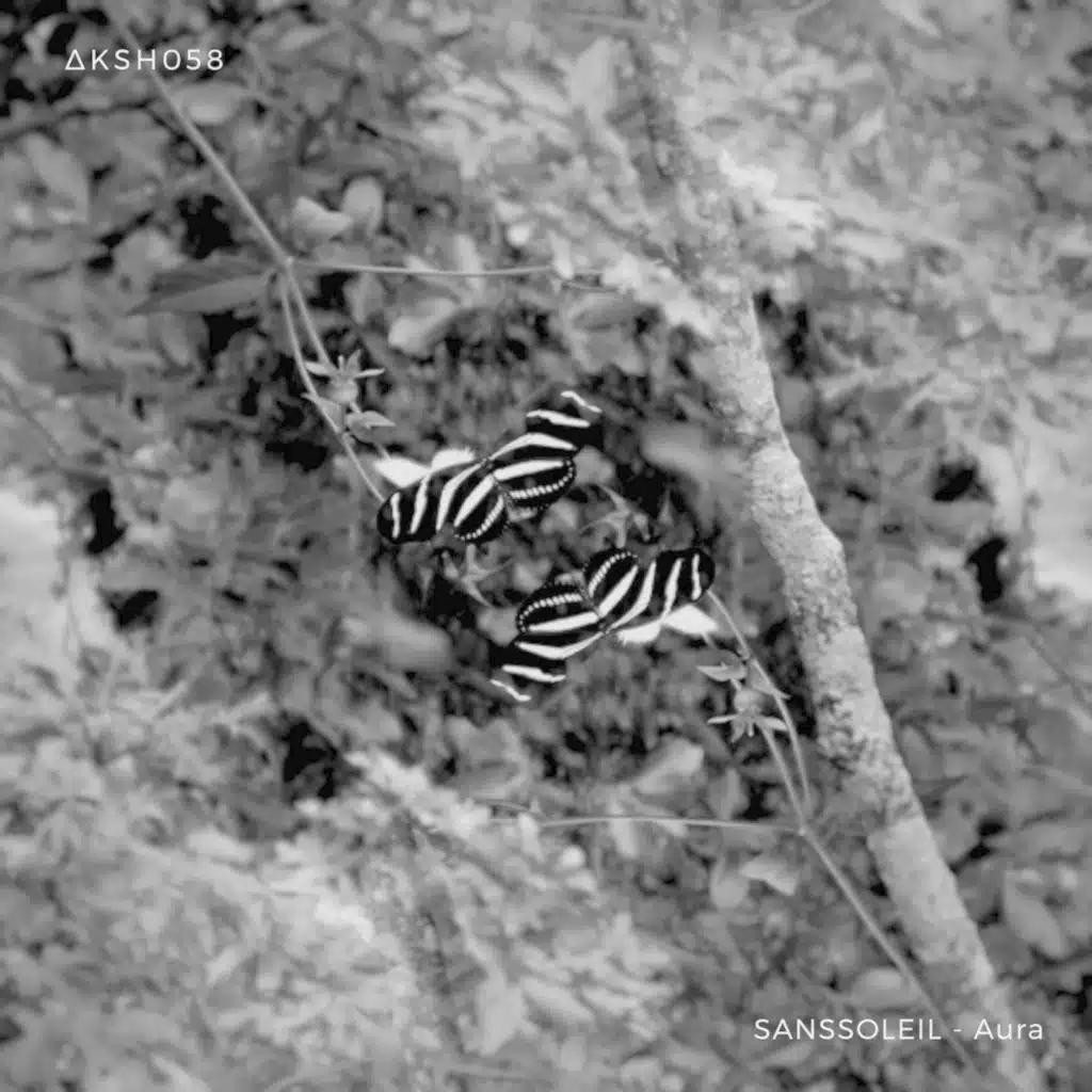 AKASHA MX & SANSSOLEIL