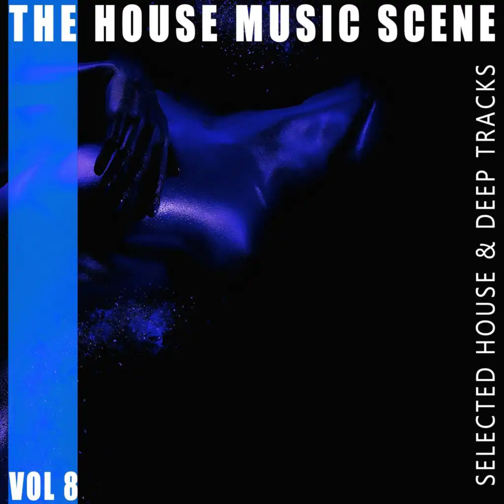 The House Music Scene, Vol. 8