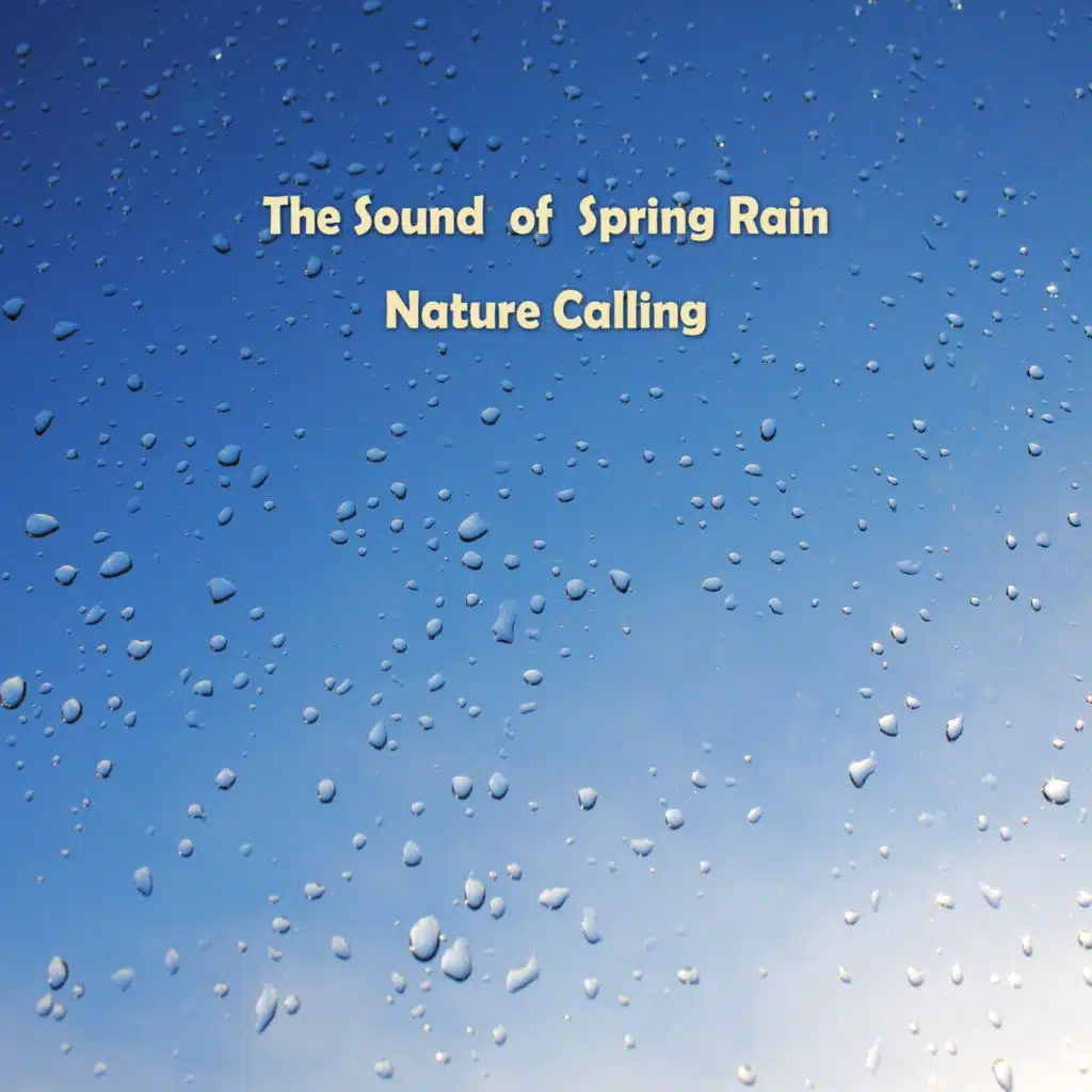 봄의 빗소리 The Sound of Spring Rain
