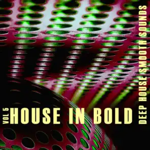 House in Bold, Vol. 5