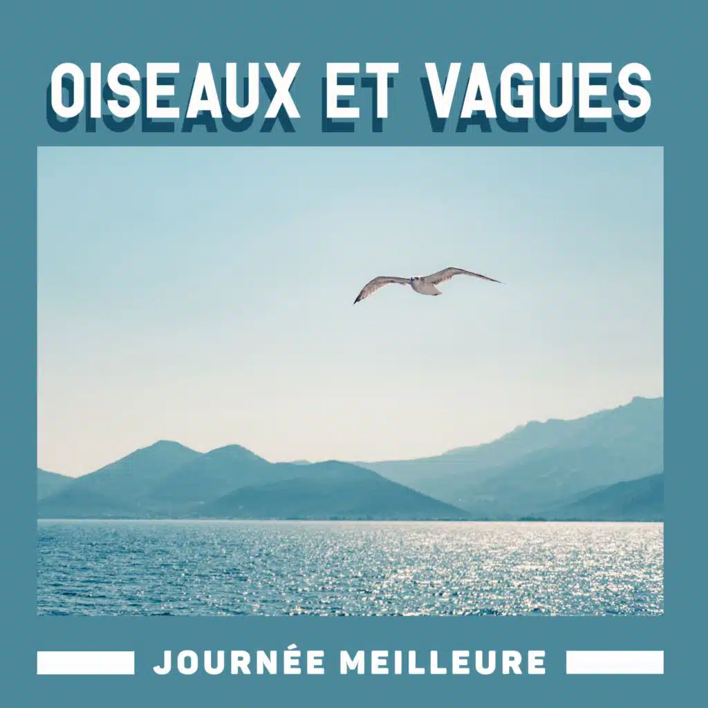 Oiseaux et vagues - Journée meilleure (Traitement de l'esprit pour guérir votre esprit et vous détendre)