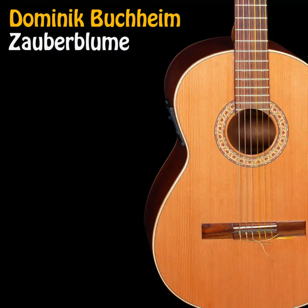 Dominik Buchheim
